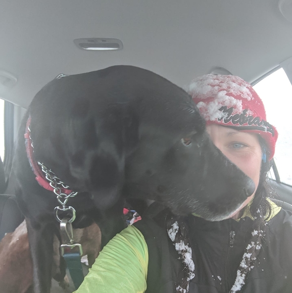 Meet your Posher, Brenda - Picture 1 of 1